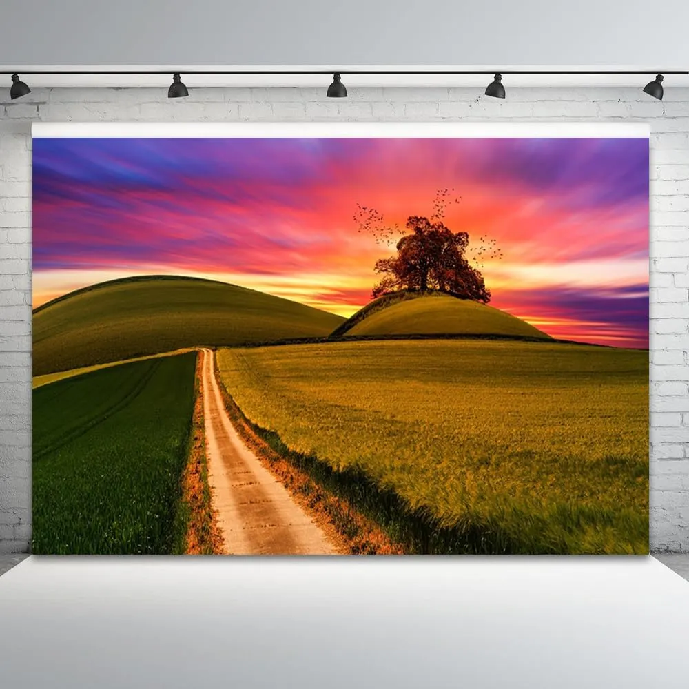 8x6ft Natural Scenery Backdrop Green Prairie Theme Photography Background Grassland Path Tree Sunset Purple Sky Nature Landscape Travel Banner Decorations Wedding Party Photo Booth Prop