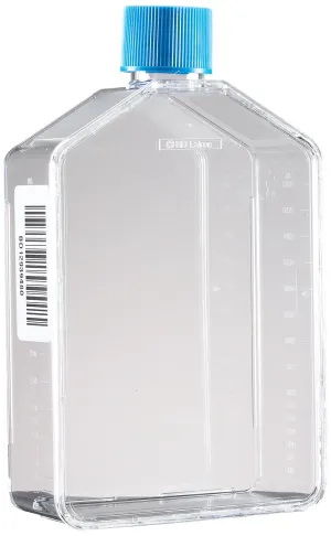 BD 353139 Falcon Polystyrene Cell Culture Flask with Plug Seal Screw Cap, Canted Neck, 225 Sq cm Growth Area, 800mL Capacity (Case of 30)