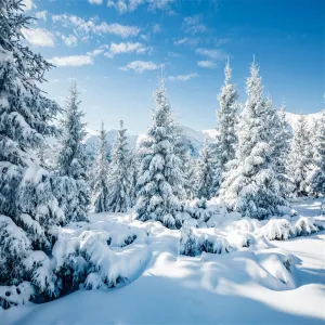 BELECO 10x10ft Fabric Winter Snow Backdrop White Xmas Trees Wintry Scene Alps Mountains Ice and Snow World Background Christmas New Year Party Decorations Banner Holiday Photo Background Photo Props