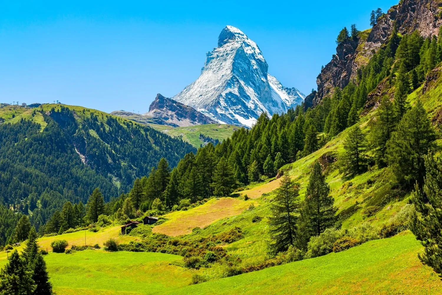 BELECO 10x6.5ft Fabric Swiss Alps Backdrop Matterhorn Mountain Range of The Alps, Snow-Capped Mountain Tops and Green Forest Meadows Background Outdoor Hiking Party Decorations Photo Studio Props