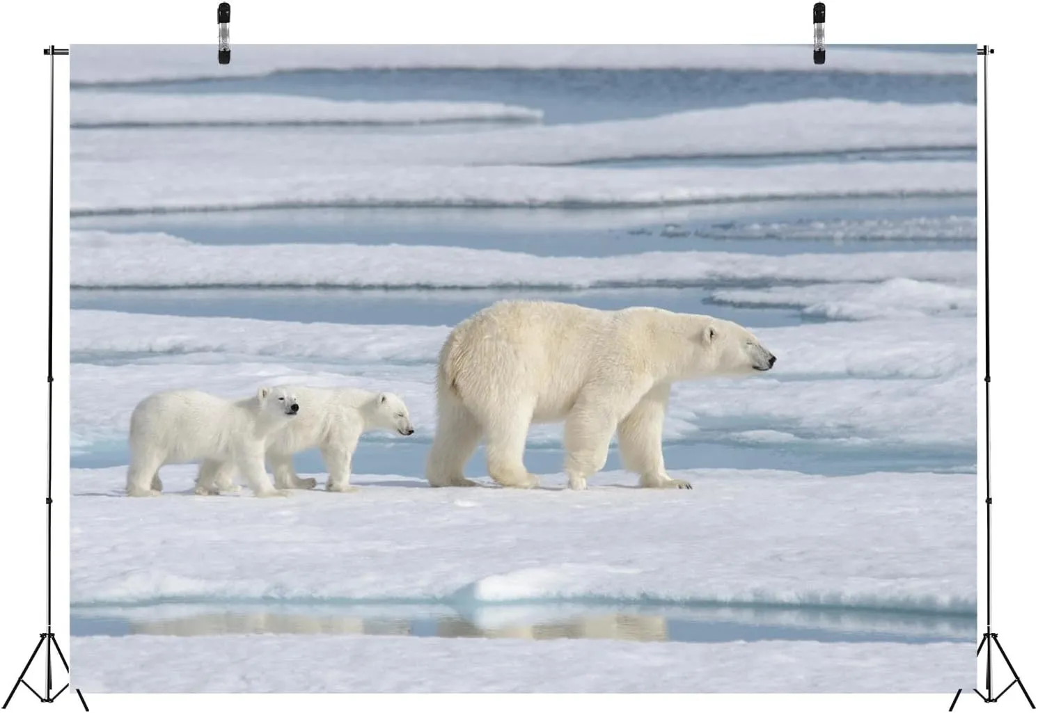 BELECO 10x8ft Fabric Polar Bears Backdrop Arctic Scene Ocean Ice Snow World Winter Background Polar Bear Theme Party Decorations Birthday Baby Shower Decor Banner Photoshoot Studio Props