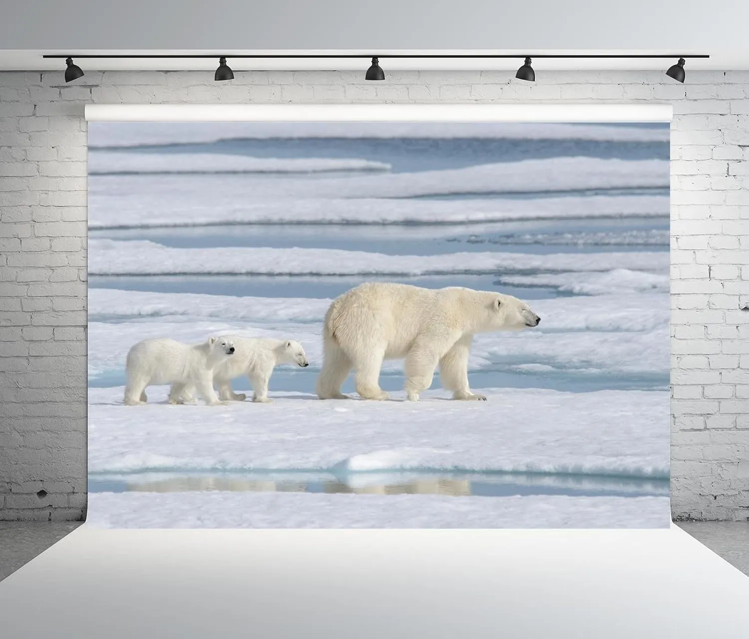 BELECO 10x8ft Fabric Polar Bears Backdrop Arctic Scene Ocean Ice Snow World Winter Background Polar Bear Theme Party Decorations Birthday Baby Shower Decor Banner Photoshoot Studio Props