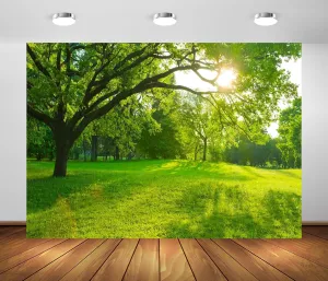 BELECO 10x8ft Fabric Spring Forest Park Backdrop Green Grass Lawn Meadow Sunshine Through The Woods Landscape Background Outdoor Nature Picnic Decor Kid Baby Portrait Photoshoot Studio Props