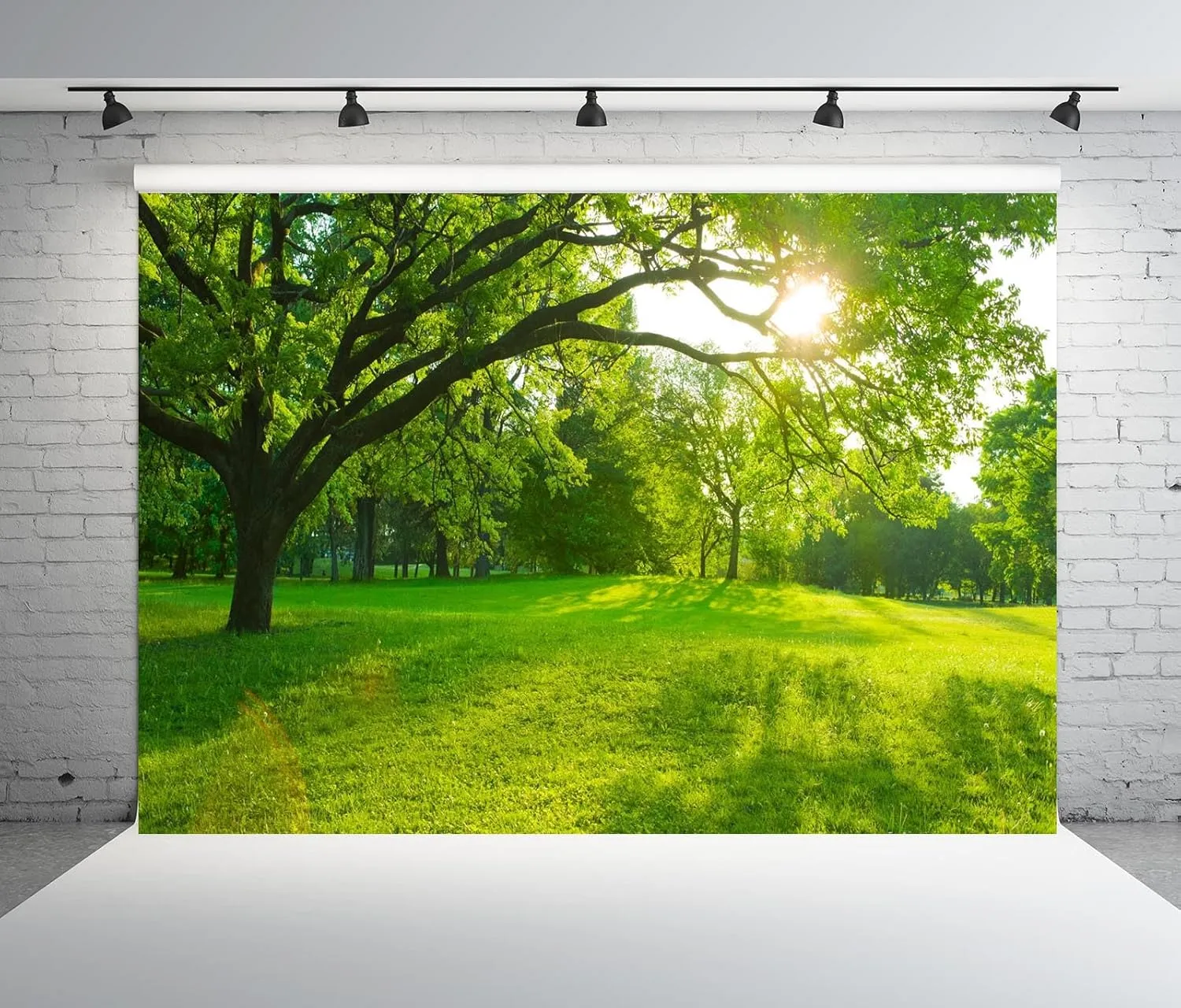 BELECO 10x8ft Fabric Spring Forest Park Backdrop Green Grass Lawn Meadow Sunshine Through The Woods Landscape Background Outdoor Nature Picnic Decor Kid Baby Portrait Photoshoot Studio Props