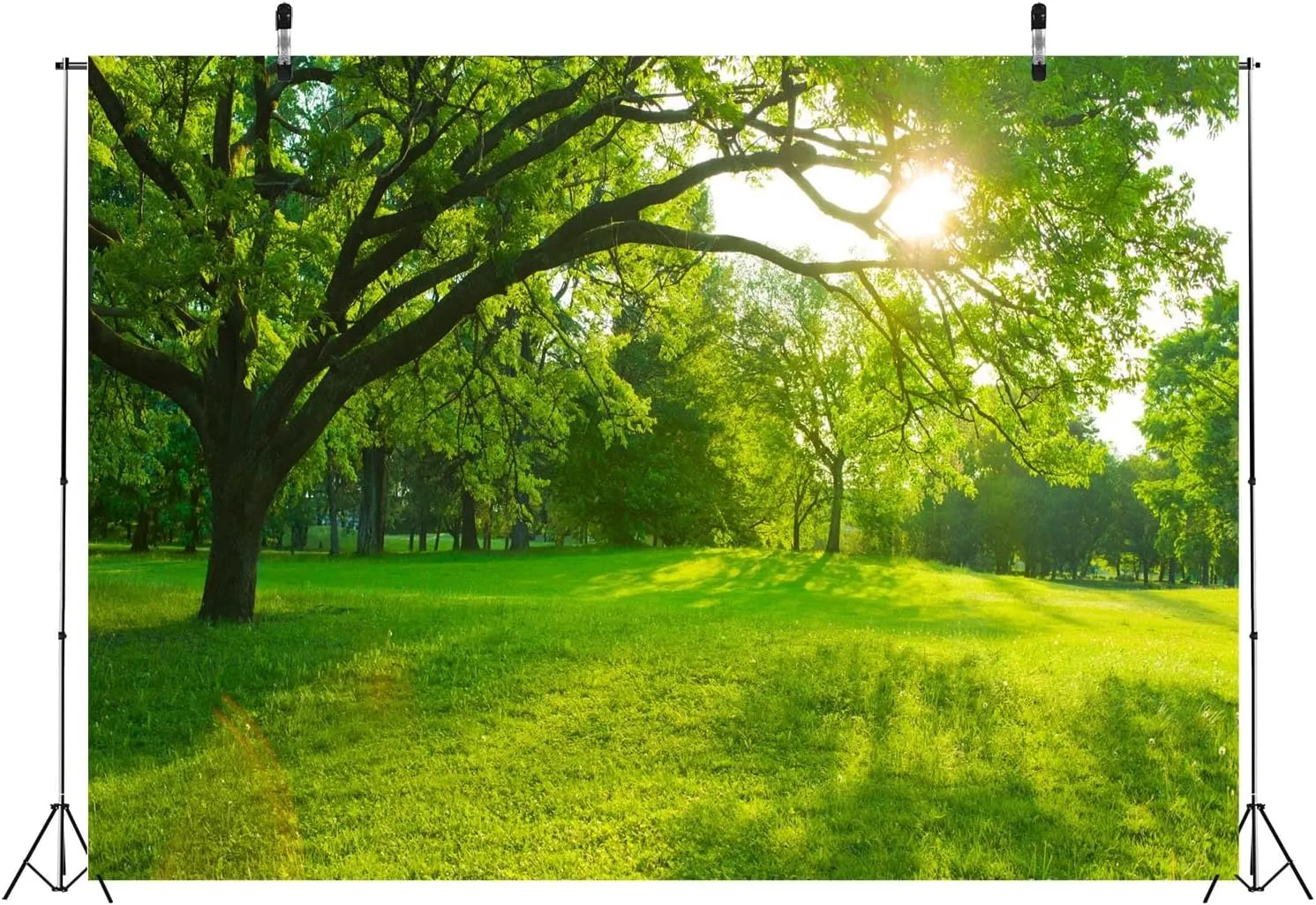 BELECO 10x8ft Fabric Spring Forest Park Backdrop Green Grass Lawn Meadow Sunshine Through The Woods Landscape Background Outdoor Nature Picnic Decor Kid Baby Portrait Photoshoot Studio Props