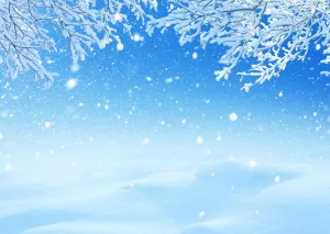 BELECO 12x10ft Fabric Winter Wonderland Snow and Ice Photography Backdrop Falling Snowflakes Frozen Trees Wintry Scene Background for Christmas New Year Party Decorations Holiday Outdoor Photo Props