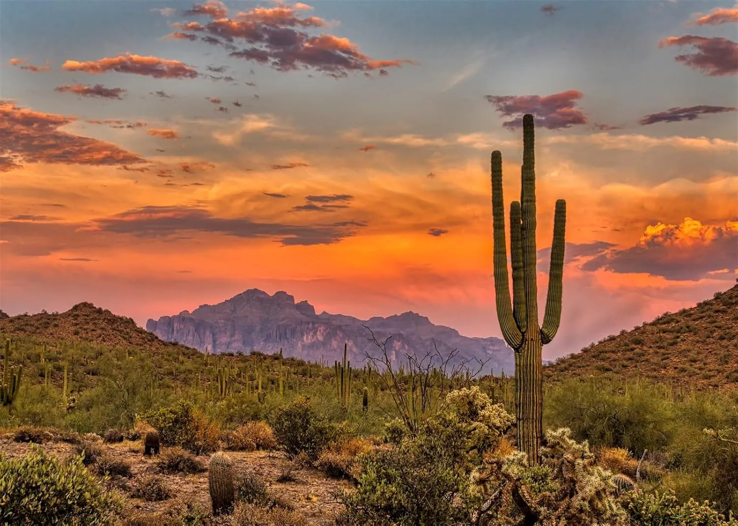 BELECO 12x8ft Fabric Arizona Desert Backdrop Green Saguaro Cactus Mountain Canyon Sunset Desert Scenery Background Outdoor Adventure Desert Party Decor Kids Adults Portrait Photo Studio Props