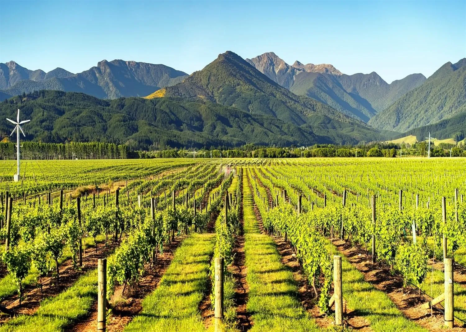 BELECO 17x10ft Fabric Italy Vineyards Backdrop Tuscany Green Grape Yard Mountain Scenery Background Italian Winery Theme Party Decorations Banner Photoshoot Props