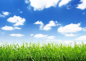 BELECO 20x10ft Fabric Blue Sky Spring Meadow Backdrop Green Grass Lawn Blue Sky White Clouds Photography Background Outdoor Nature Scenery Easter Decor Kid Baby Portrait Photo Studio Props Wallpaper