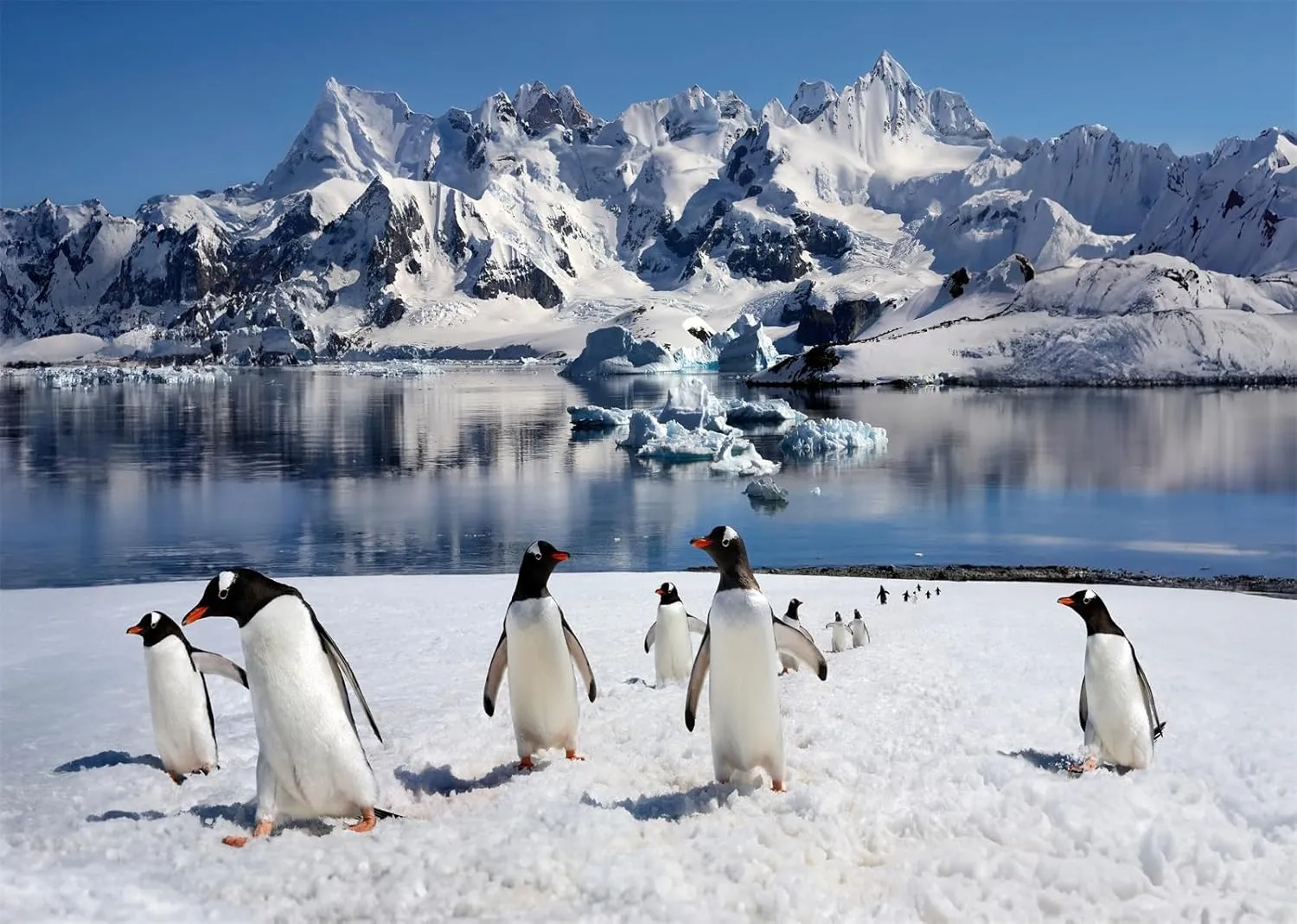 BELECO 20x10ft Fabric Penguins Backdrop Polar Arctic Scene Ice Rocks Iceberg Antarctica Glacier Background for Photography Ice and Snow World Penguin Decorations Birthday Shoot Photo Studio Props