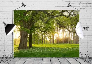 BELECO 7x5ft Fabric Forest Backdrop Spring Forest Park Green Trees Meadow Lawn Sunlight Background Birthday Party Wedding Decoration Outdoor Picnic Camping Travel Portrait Photo Studio Props