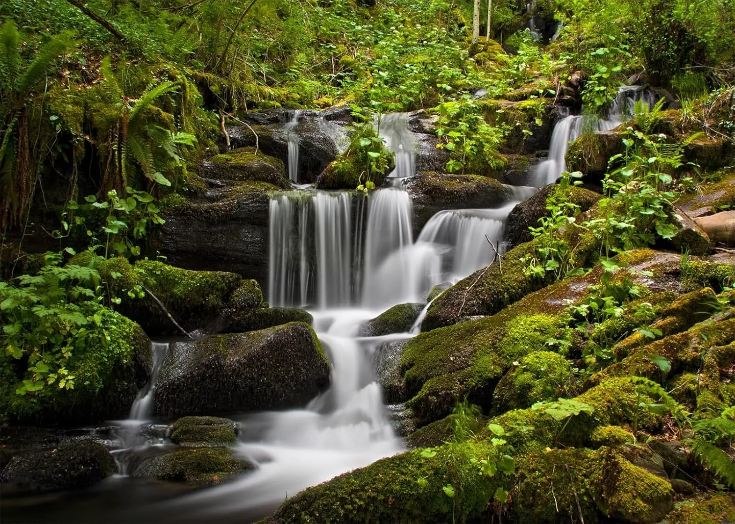 BELECO 7x5ft Fabric Jungle Waterfall Backdrop Tropical Rainforest Water Stream River Rocks Background Waterfalls Backdrop Decor Photo Studio Shoot Props