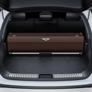 Car Boot Organiser Storage for Bentley Flying Spur (Note The Specific Year), Car Boot Tidy Organiser Bag Shopping Organization Organiser Multipurpose,B Mocha Brown-Single Storage Box