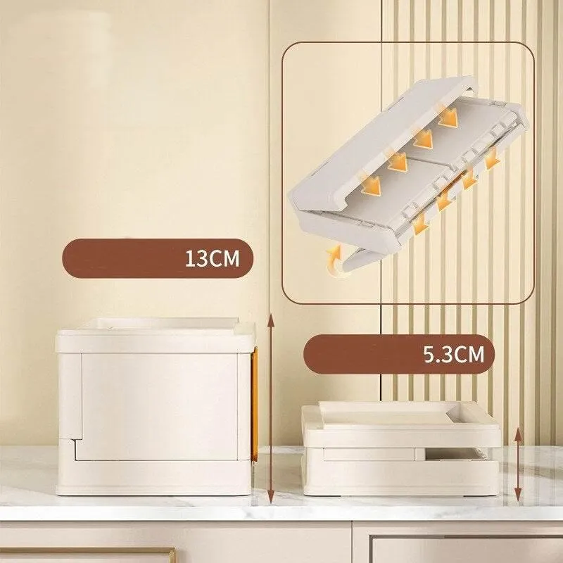 Foldable Storage Organizer - Space-Saving Solution
