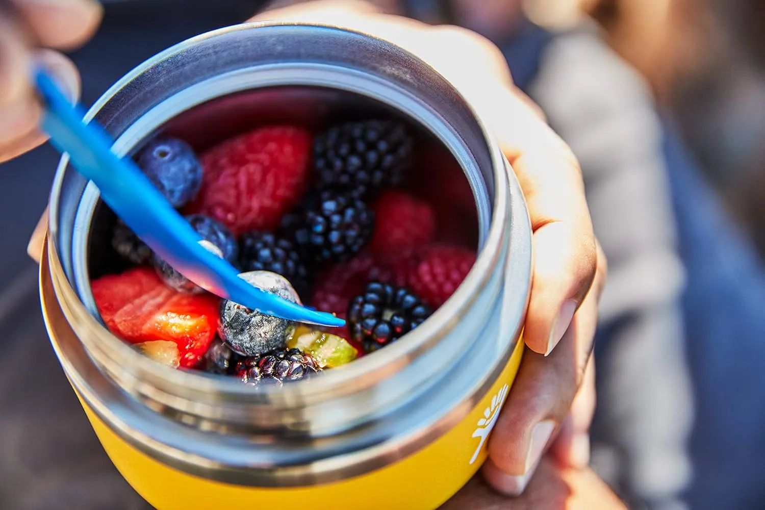 Hydro Flask Insulated Food Jar - Stainless Steel with Leak Proof Cap