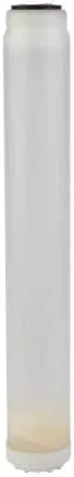 IPW Industries Inc-Watts-RC-C-20-50 Empty Refillable Canister Cartridge Clear Std 20 in
