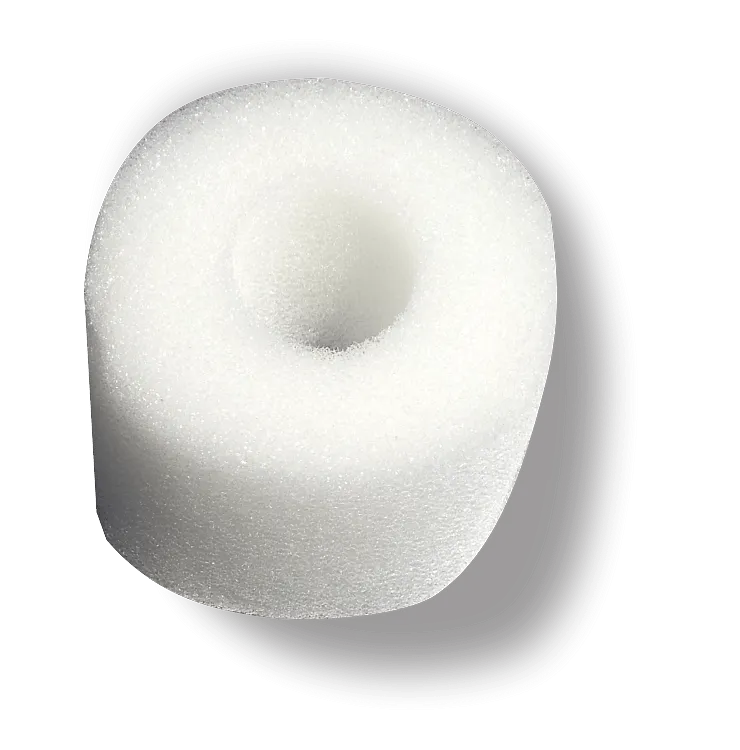 Replacement Canister Sponge (2-Pack) - AquaFX