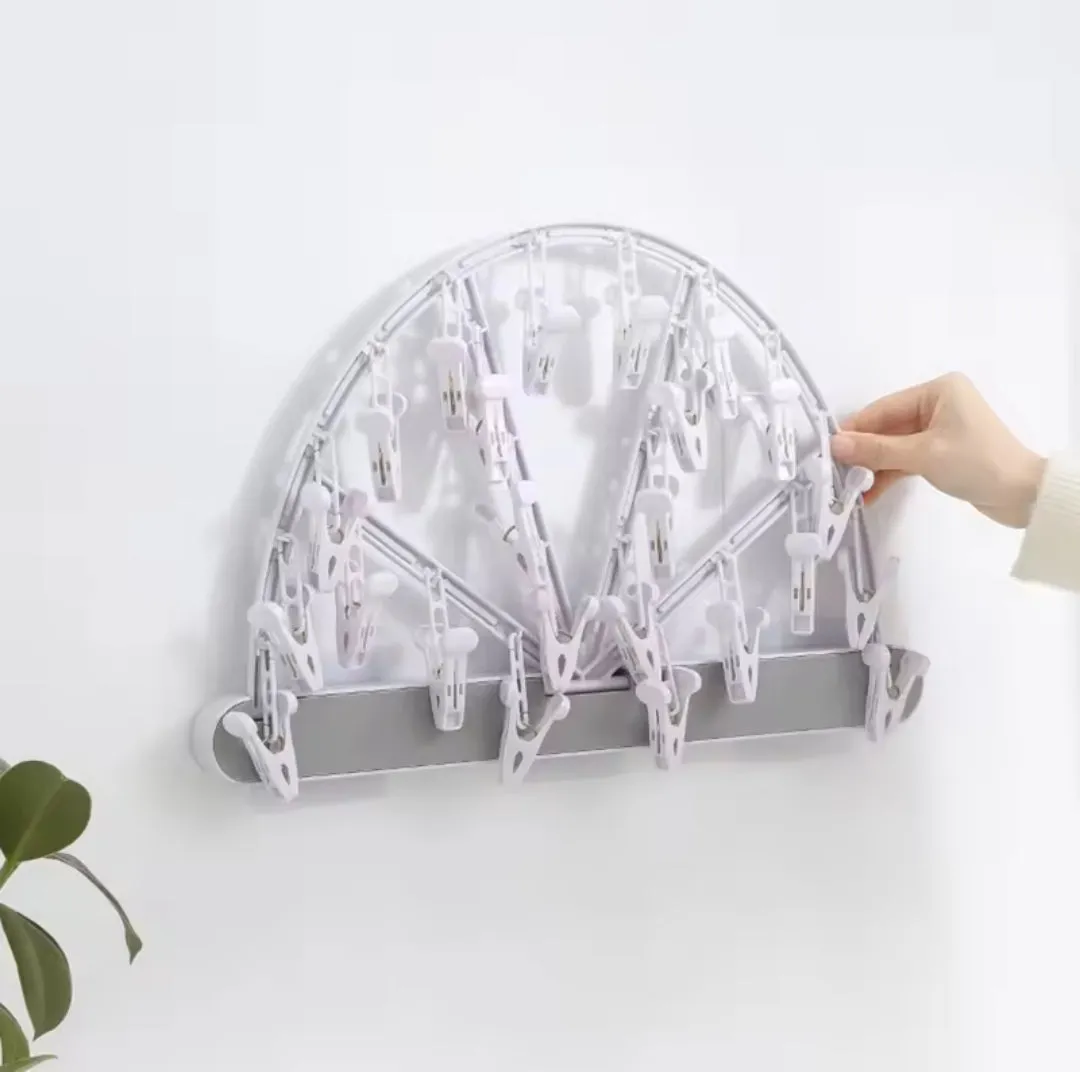 Semi circular 24 peg underwear organizer rack