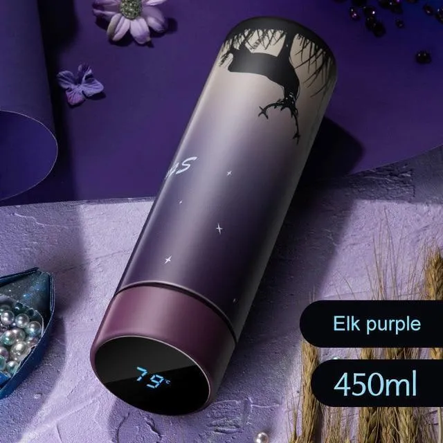 Stainless Steel 450ml Water Bottle Thermos Vacuum Flask