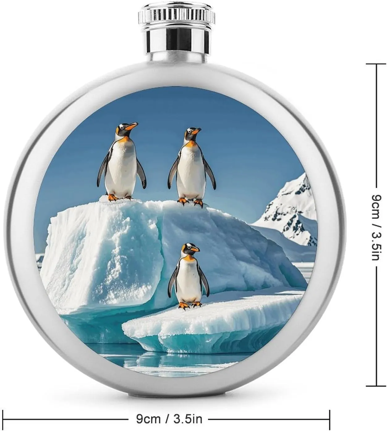 Stainless Steel Wine Bottle Liquor Container Penguins On The Iceberg Print Leak Proof Hip Flask Durable for Camping Hiking Travel Festivals
